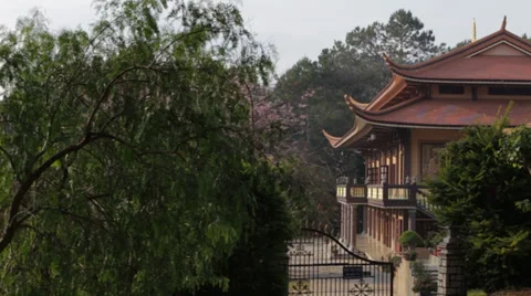 Buddhist Pagoda Building Vídeo Stock 35561816