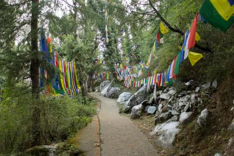 Buddhist path in forest and flags with mantras Stock Photos