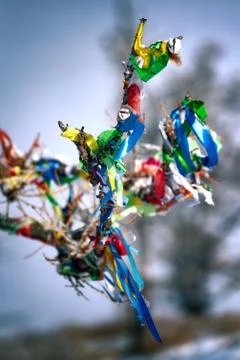 The Buddhist pray in trees Stock Photos