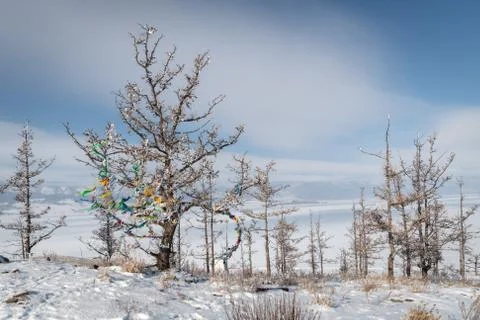 The Buddhist pray in trees Foto stock