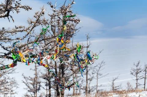 The Buddhist pray in trees Stock Photos