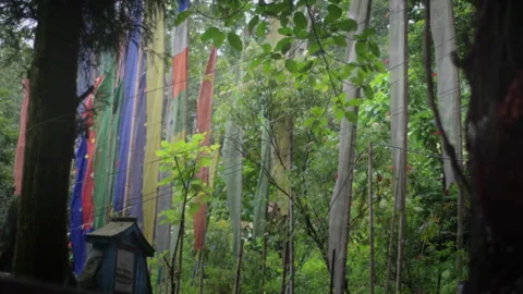 Buddhist Prayer Flags 02 Stock-Footage 263919981