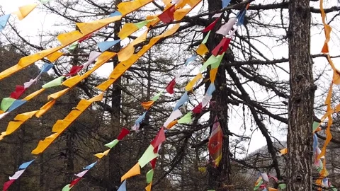 Buddhist prayer flags flying in a forest of Tibet, HD, Slow motion Stockbeeldmateriaal 154149248