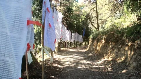 Buddhist Prayer Flags Stock Footage 45616537