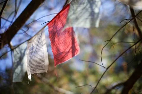 Buddhist Prayer Flags Red 写真素材