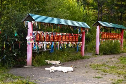 Buddhist prayer red drums with colorful ribbons Stock Photos