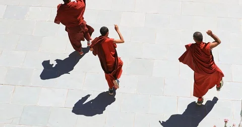 Buddhist ritual dance by group of monks dressed in traditional robes in Ladakh Stock Footage 87536749