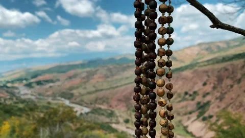 Buddhist rosary Stock Footage 196105798