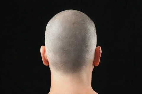 Buddhist shaved head, from behind Stock Photos