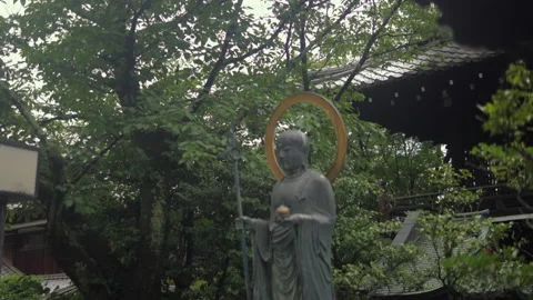 Buddhist Statue and Temple Courtyard with Lush Trees in Kyoto, Japan Stock Footage 342676775