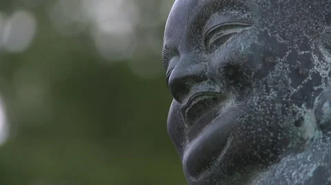 Buddhist statue, change of focus Stock Footage 50758032