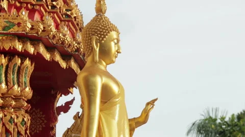 Buddhist Statue Tilt From Head To Toe Stock-Footage 59786494