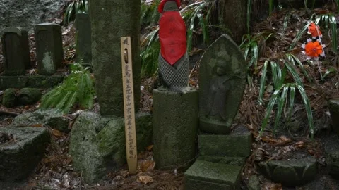 Buddhist statues at yamadera temple 库存影片 149968149
