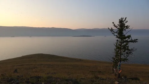 Buddhist Stupa. Stock-Footage 117334673