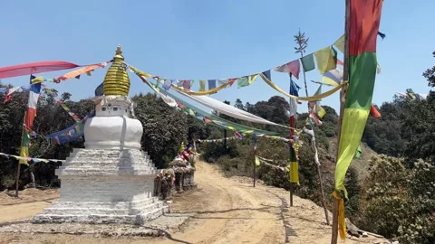 Buddhist stupa in the nature Stock Footage 294587697