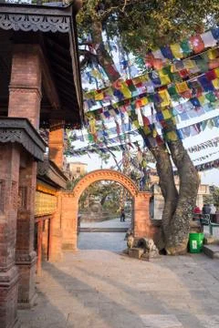 Buddhist stupa Foto stock