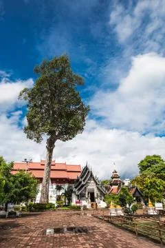 Buddhist Temple Big Tree Stock Photos