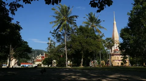 Buddhist Temple complex with garden and Chedi Stock Footage 56340111