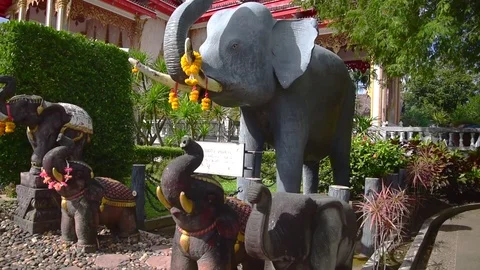 Buddhist Temple with Elephant Statues Stock Footage 85004388
