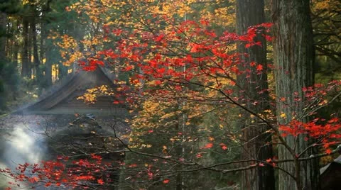 Buddhist Temple in the fall. Video stock 12613897