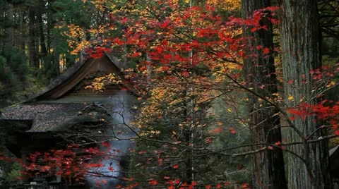 Buddhist Temple in the fall. Stock Footage 12613999