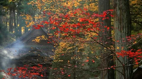 Buddhist Temple in the fall. Stock Footage 13909831
