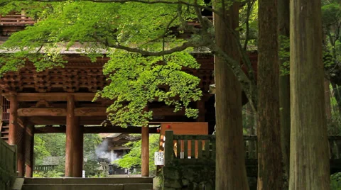 Buddhist temple. Stock Footage 32809887