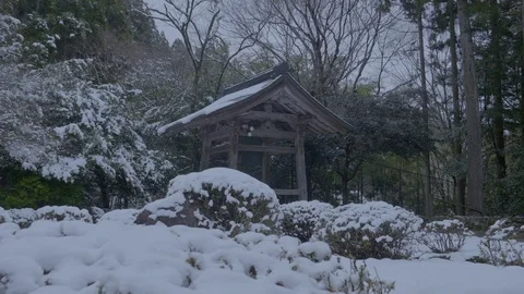 Buddhist temple. Stock Footage 84466605