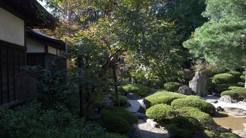 Buddhist Temple Garden Zen Monastery Stock-Footage 119791997