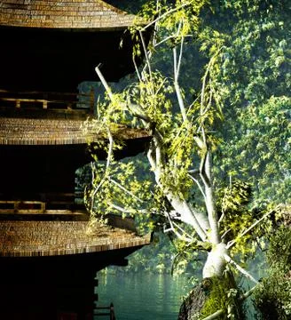 Buddhist temple in mountains Stock Illustration