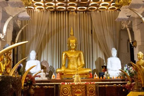 Buddhist Temple Stock Photos