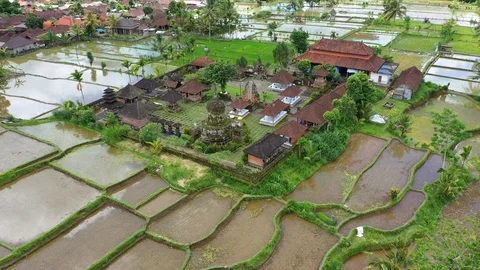 Buddhist temple in rice fields near Ubud. Aerial drone 4k footage. 库存影片 104918972