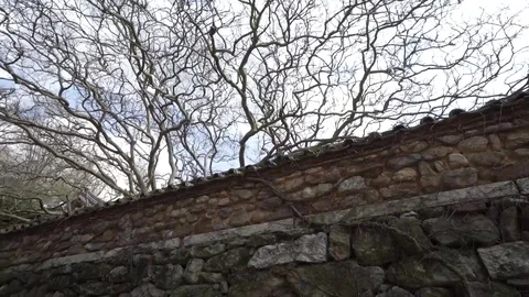Buddhist temple stone wall tracking shot Stock Footage 78667438