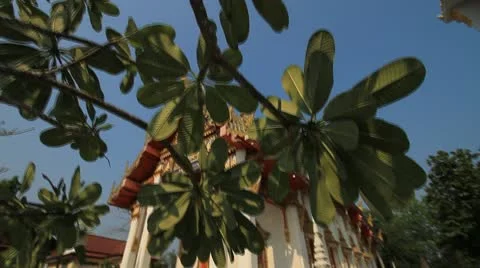 Buddhist temples in Thailand. Stock Footage 10796440