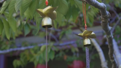 Buddhist wishing bells hanging in a tree 스톡 동영상 152500658