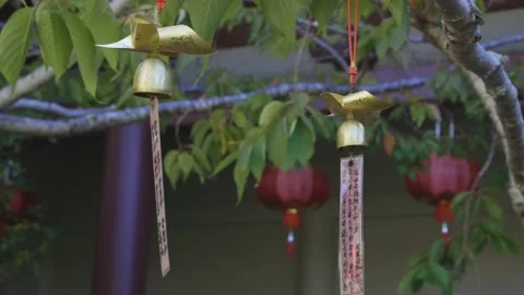 Buddhist wishing bells hanging in a tree 库存影片 152500787
