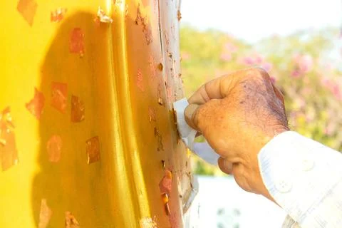 Buddhists covered gold leaf the statue of Buddha. Stock Photos