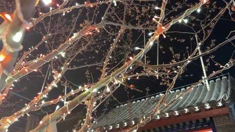 Budding Tree with String Lights with Chinese Eaves in the Background Stock Footage 331835439