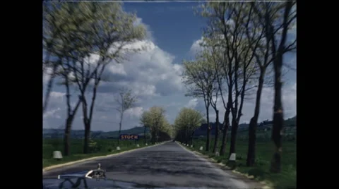 Budding Trees Line Road in Italy Stock Footage 47973297