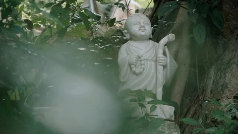 Buddist Deity Statue In Jungle Stock Footage 116469933