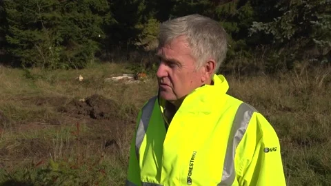 Buddy In Elf Stock Videos – Royalty-Free HD & 4K Videos