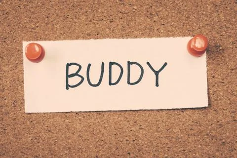 Buddy Stock Photos