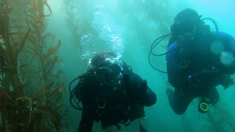 Buddy Scuba Divers Video stock 129145912