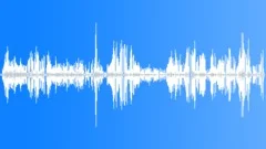 Budgerigar CU CallsSound Effect