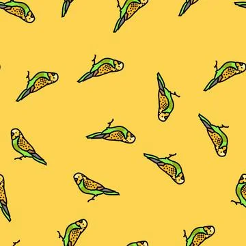 Budgerigar parakeet bird parrot vector seamless pattern Stock Illustration