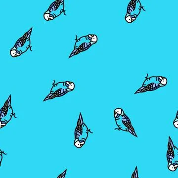 Budgerigar parakeet parrot bird vector seamless pattern 스톡 일러스트