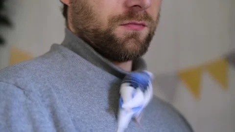 Budgerigar playing with handsome man. Budgie. Funny blue purple parakeet sitting Video stock 285404306