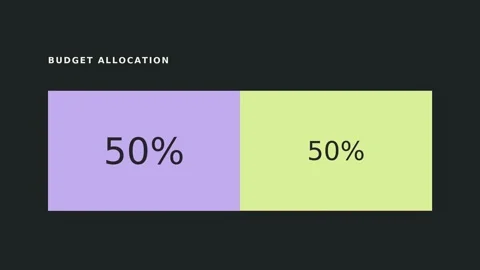 Budget allocation graphics displaying different percentage distributions. Each Stock-Footage 347057340