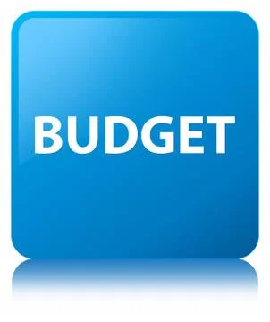 Budget cyan blue square button Stock Illustration