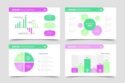 Budget infographic template Stock Illustration